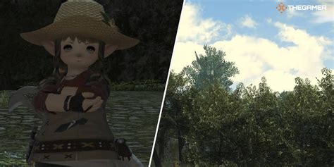 ffxiv level 90 botanist gear.